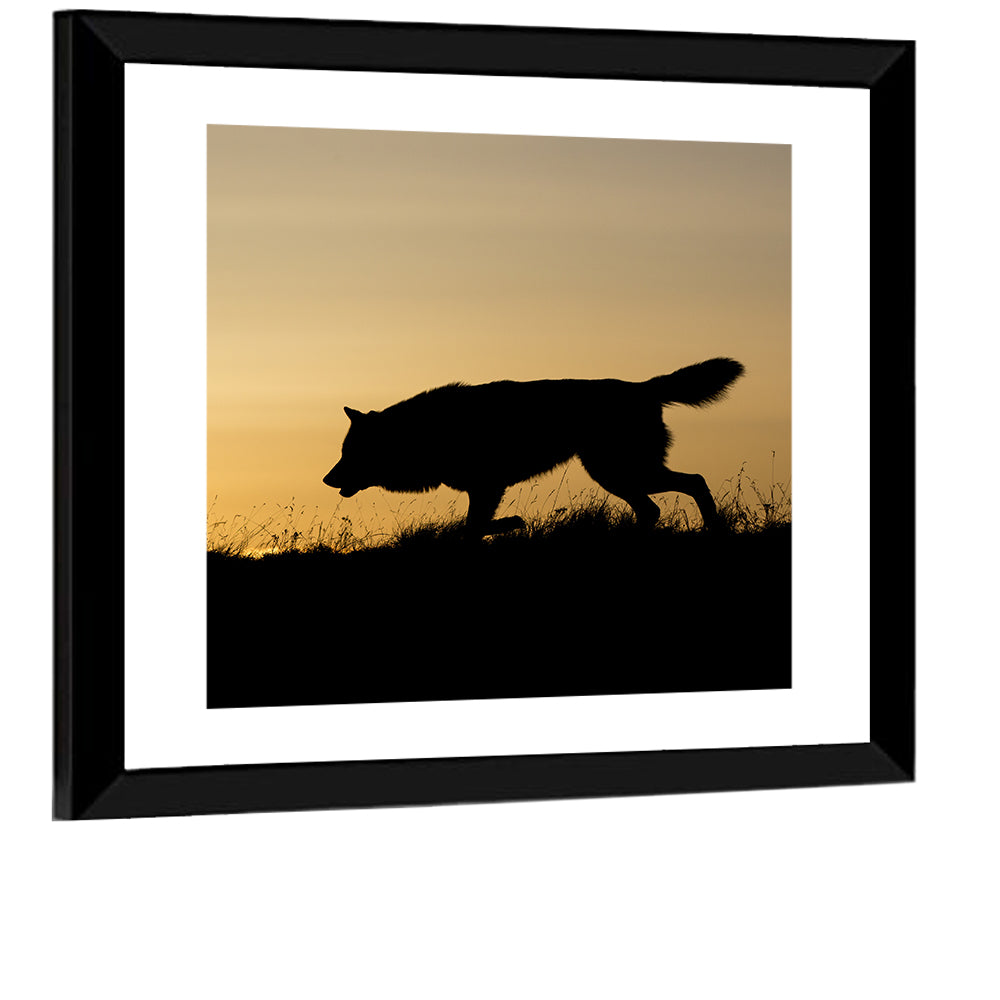 Wolf at Golden Horizon Wall Art