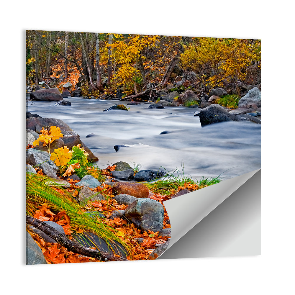 Golden Autumn Forest Creek Wall Art