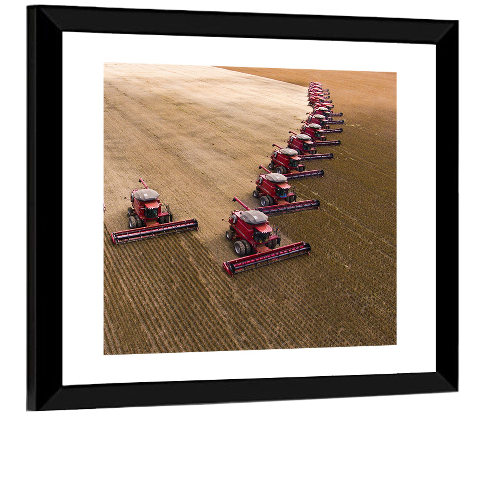 Aerial Soybean Harvest Wall Art