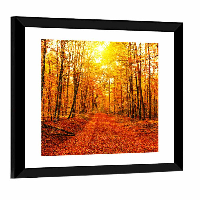 Golden Autumn Forest Path Wall Art as a framed print