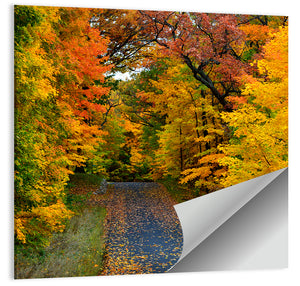 Wisconsin Autumn Park Wall Art