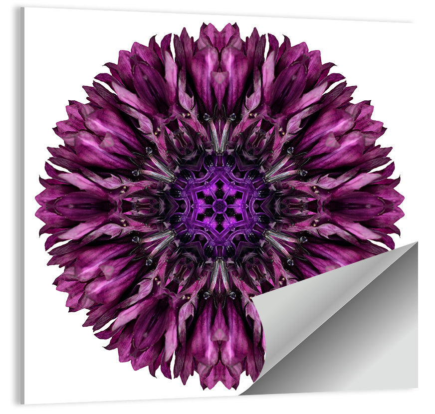 Purple Cornflower Kaleidoscope Mandala Wall Art