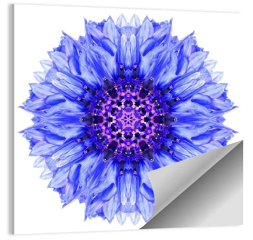 Cornflower Mandala with Dark Violet Center Wall Art