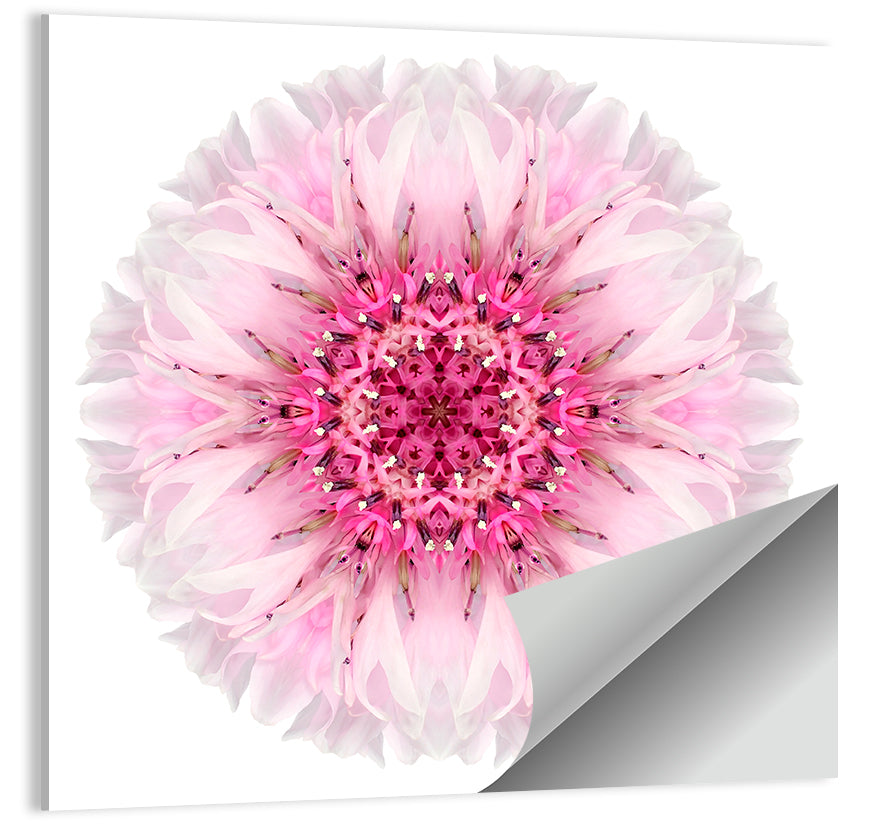 Pink Cornflower Kaleidoscope Mandala Wall Art