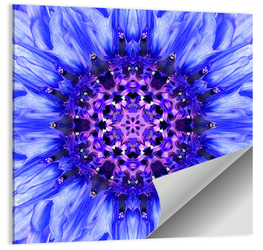 Kaleidoscopic Cornflower Mandala Wall Art