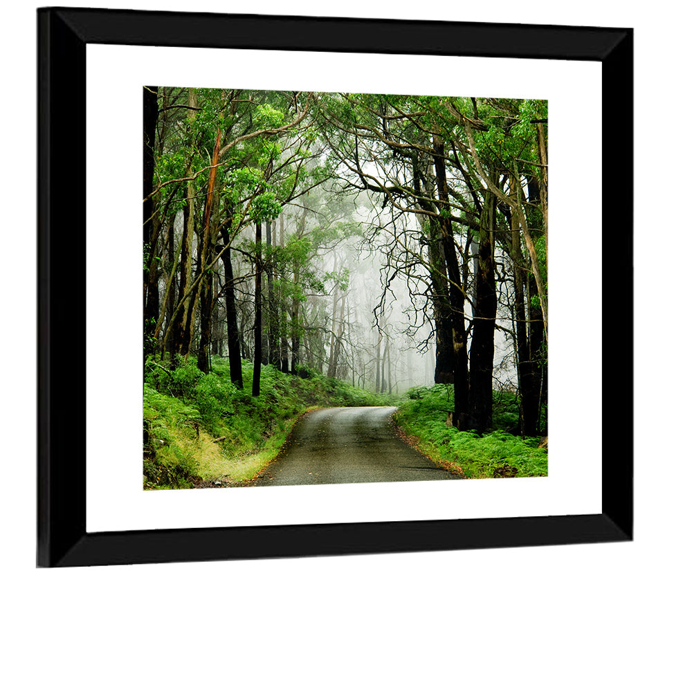 Foggy Forest Road Wall Art