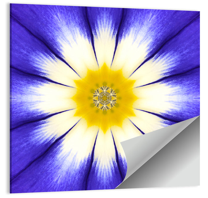 Blue Cornflower Mandala Bloom Wall Art as a poster print