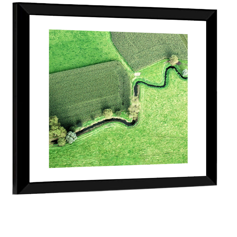 Meandering River Wall Art