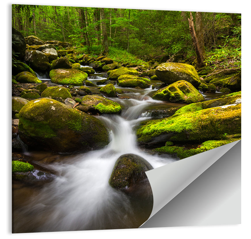 Mossy Forest Stream Wall Art