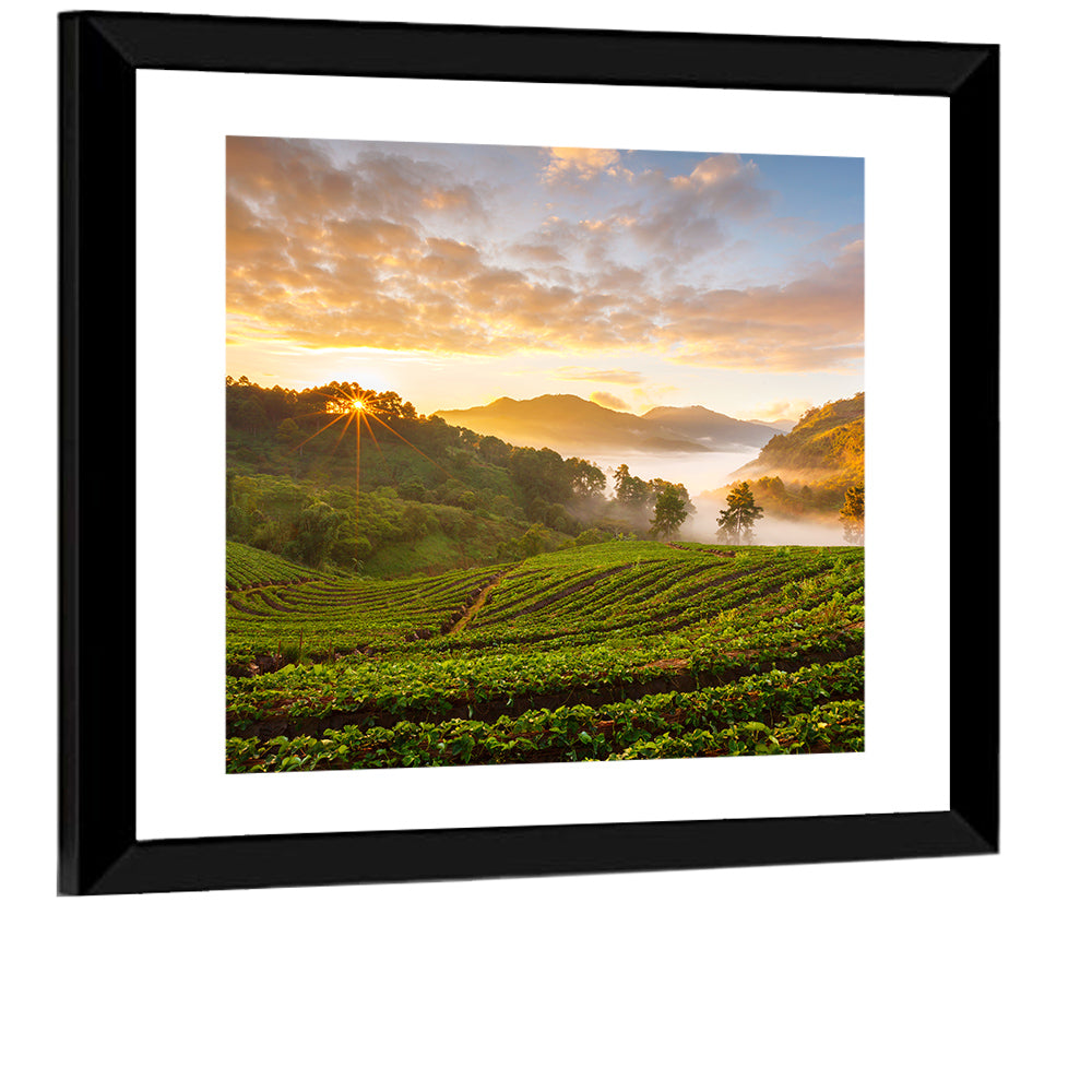 Strawberry Fields Sunrise Wall Art
