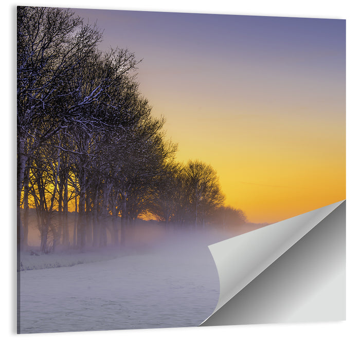 Winter Fog at Sunset Wall Art as a poster print