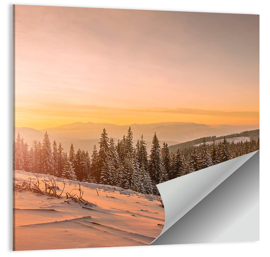 Hoverla Snowfield at Sunset Wall Art