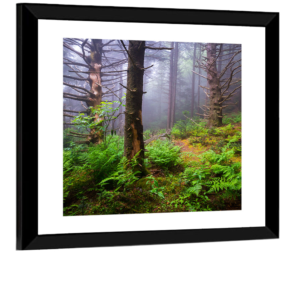 Forest Hiking Trail Wall Art