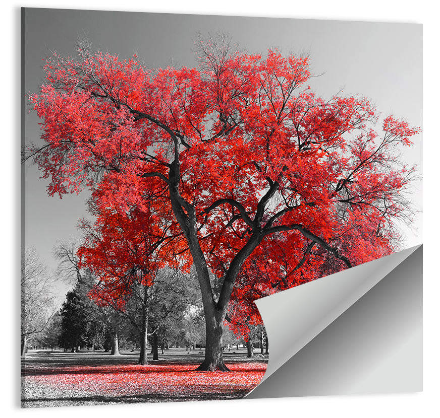 Winter Tree with Red Leaves Wall Art