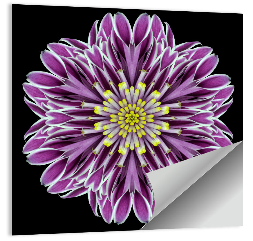 Kaleidoscopic Pink Floral Mandala Wall Art