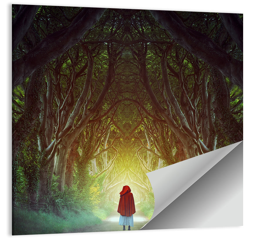 Hedges Forest Pathway Wall Art