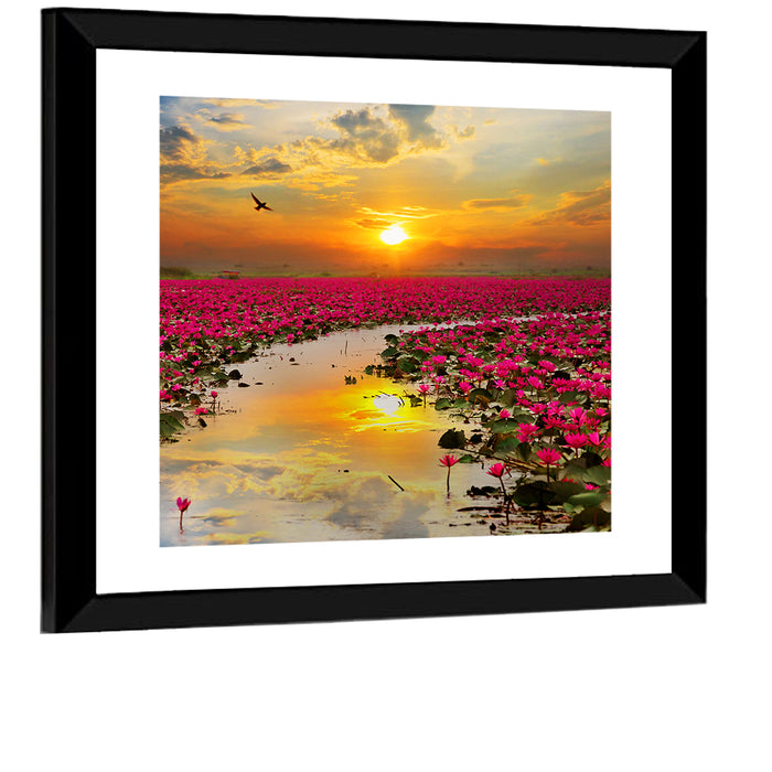 Golden Hour Lotus Field Wall Art as a framed print
