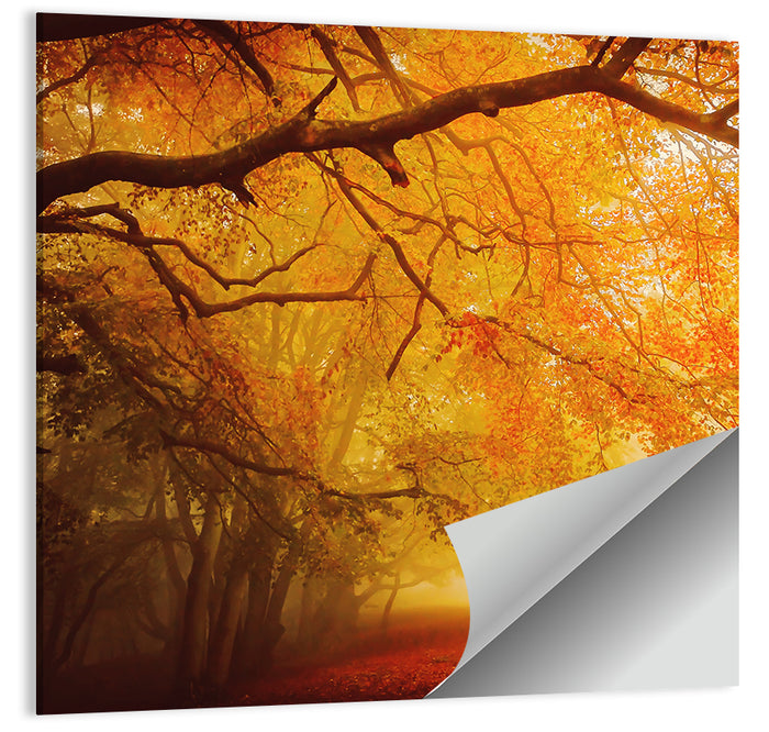 Autumn Forest Path with Lone Figure Wall Art as a poster print