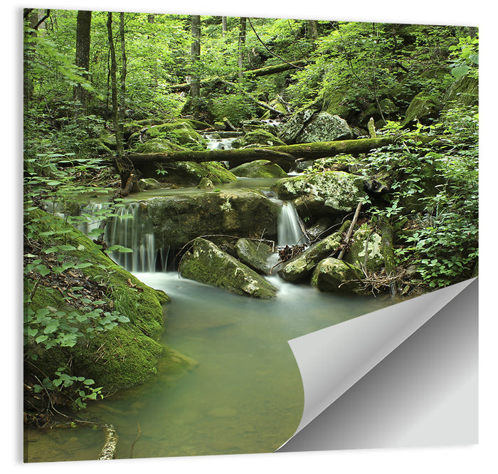 Arkansas Forest Stream Wall Art as a poster print