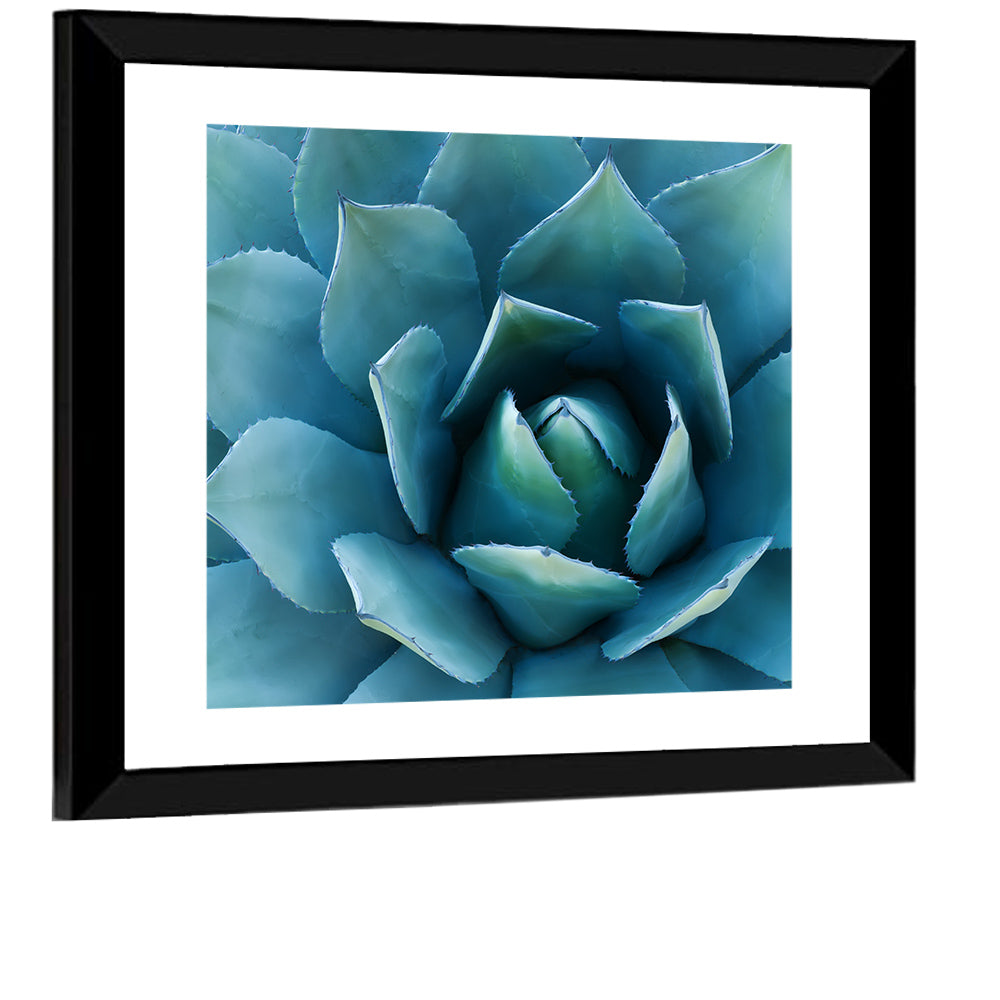 Spiral Agave Macro Wall Art