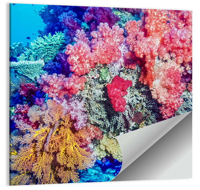 Vibrant Coral Reef Wall Art as a poster print