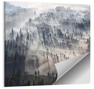 Foggy Forest Sunrise Wall Art