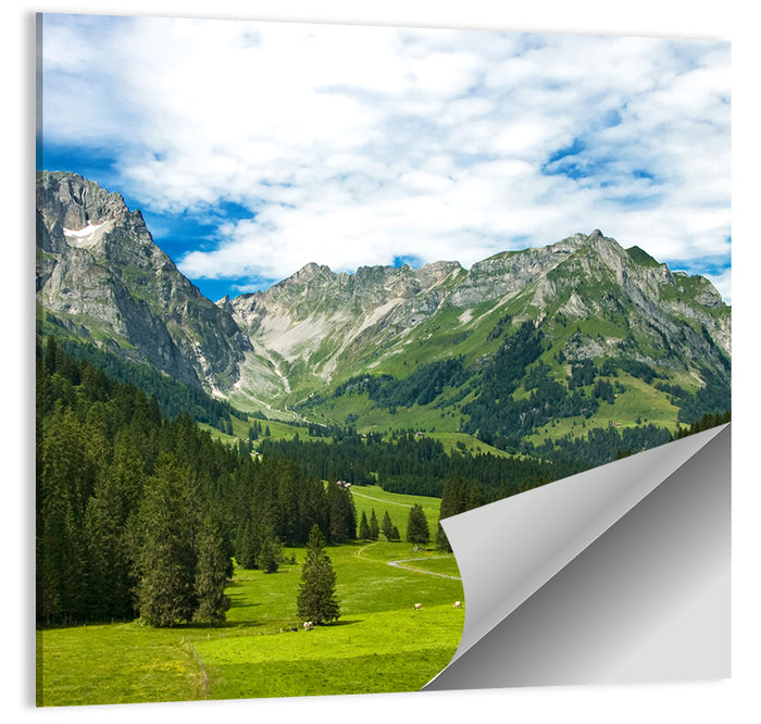 Arnibach Valley Summer Meadow Wall Art as a poster print