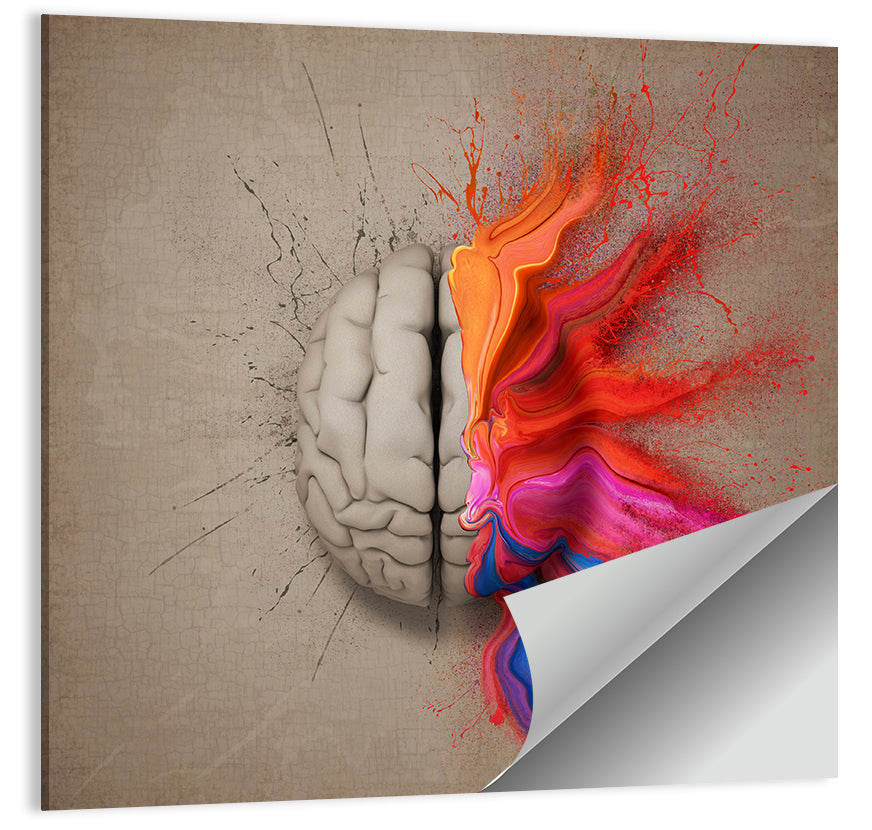 Creative Brain Duality Illustration Wall Art