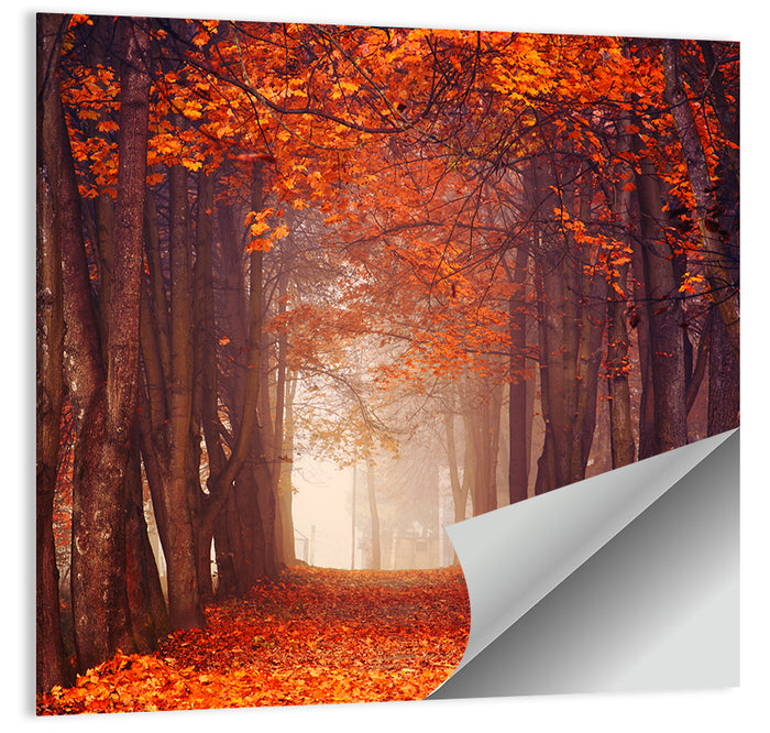 Misty Autumn Forest Path Wall Art as a poster print