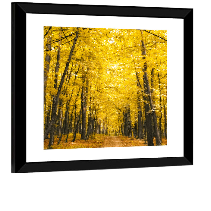 Yellow Autumn Forest Path Wall Art as a framed print
