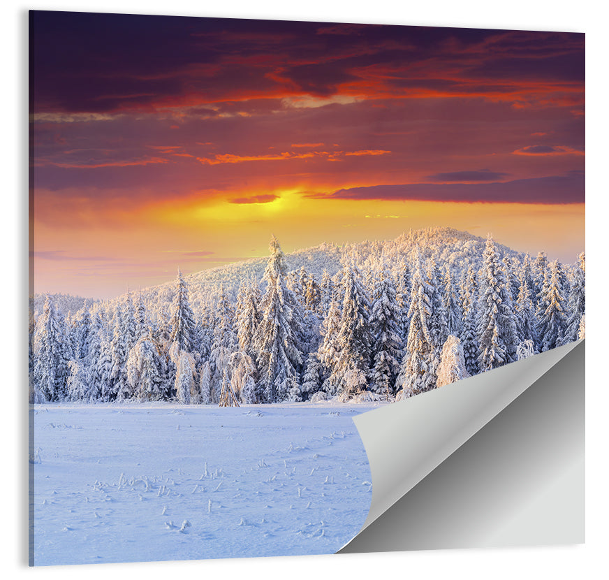 Snowy Forest Sunset Wall Art