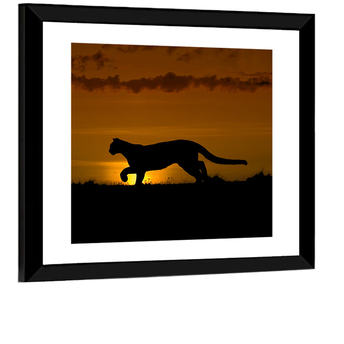 Cougar Silhouette at Sunset Wall Art as a framed print