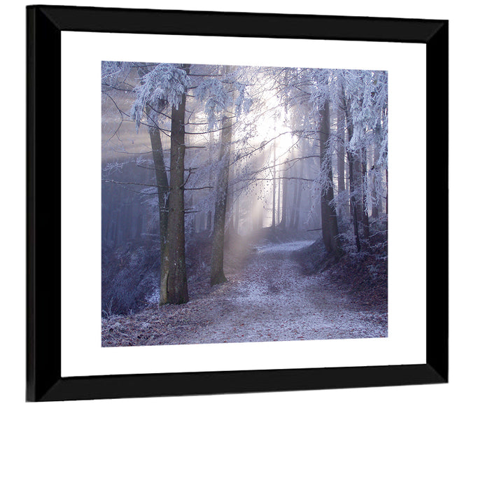 Frosted Forest Path at Dawn Wall Art as a framed print