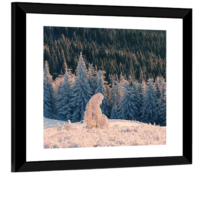 Carpathian Forest at Golden Hour Wall Art as a framed print
