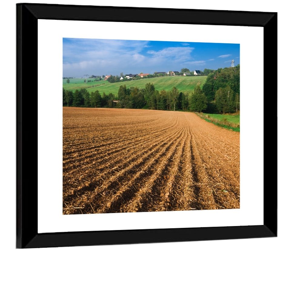 Kansas Wheat Fields Wall Art