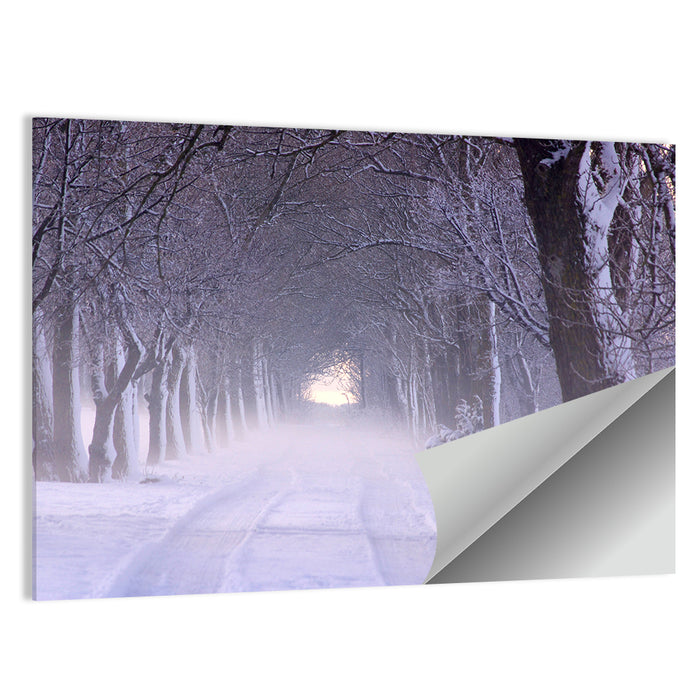 Kuressaare Park Snowy Path Wall Art as a poster print