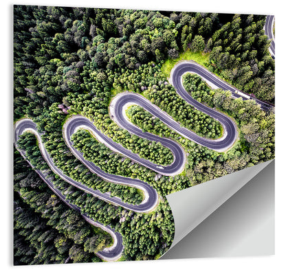 Curvy Road Wall Art