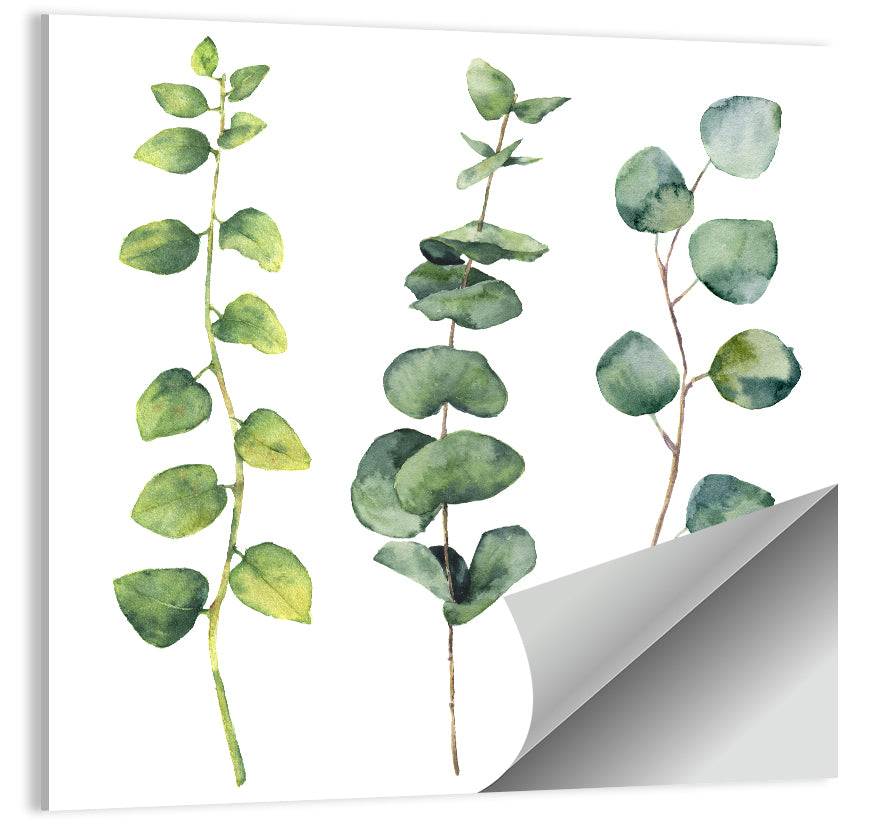 Watercolor Eucalyptus Stems Wall Art