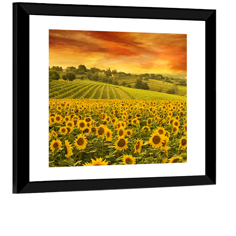 Sunflower Field at Golden Hour Wall Art
