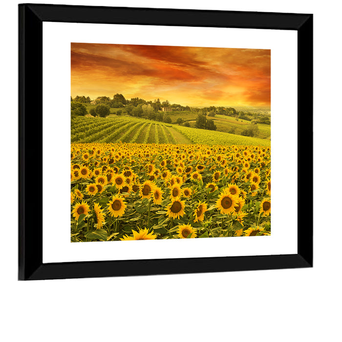 Sunflower Field at Golden Hour Wall Art as a framed print