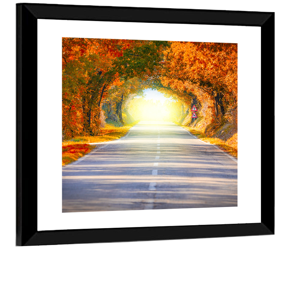 Golden Autumn Tree Tunnel Wall Art