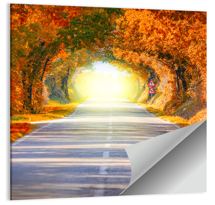 Golden Autumn Tree Tunnel Wall Art