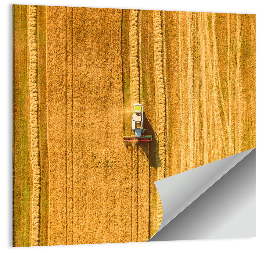 Wheat Field Harvesting Wall Art