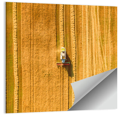 Wheat Field Harvesting Wall Art