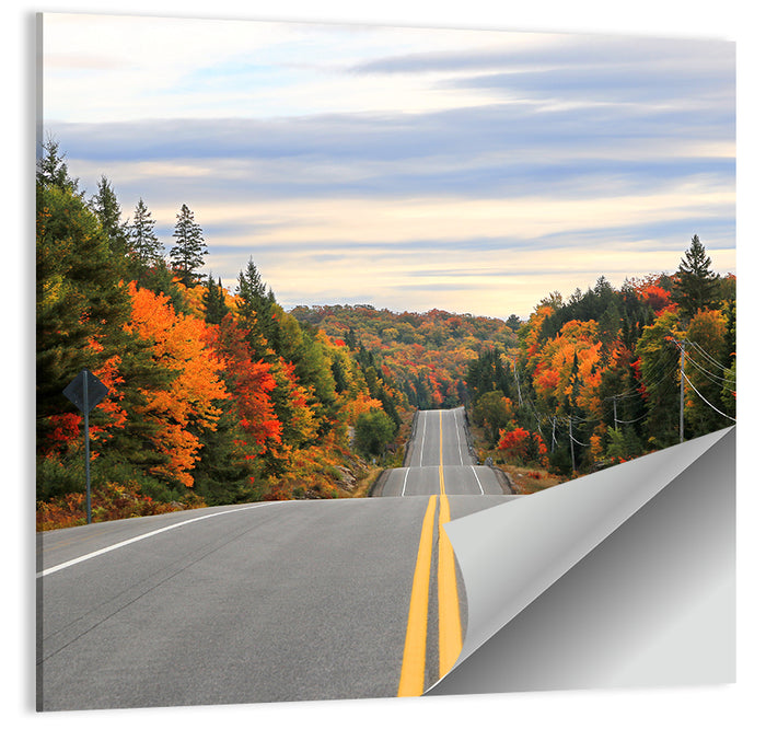 Algonquin Park Road Wall Art as a poster print