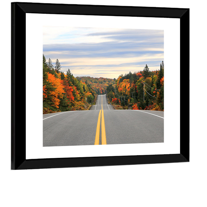 Algonquin Park Road Wall Art as a framed print