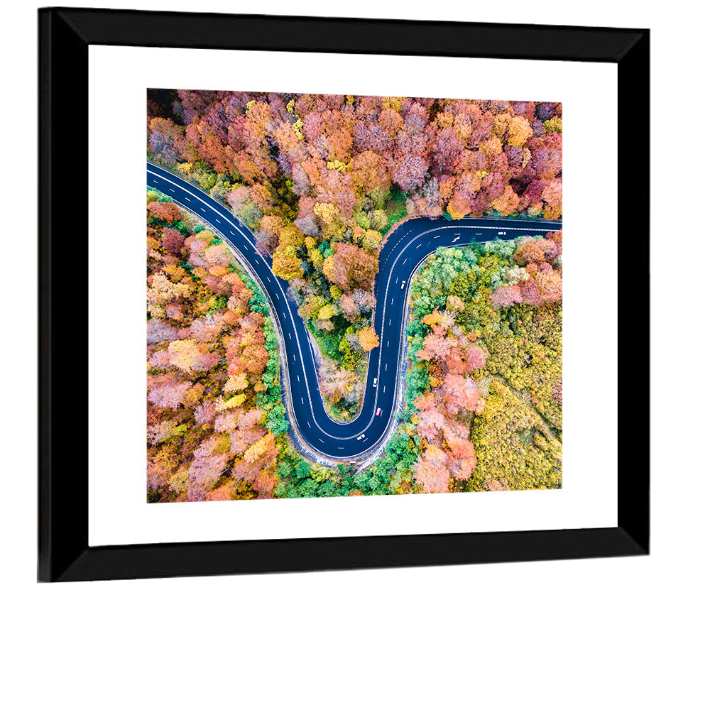 Winding Forest Road Wall Art