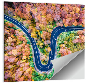 Winding Road Wall Art