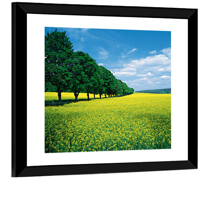 Spring Field of Yellow Flowers Wall Art as a framed print