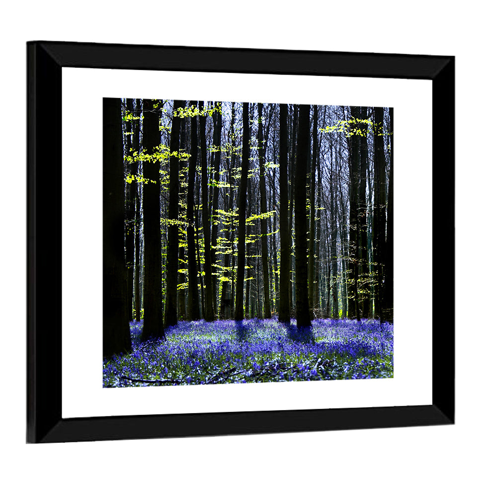 Bluebell Symphony Wall Art